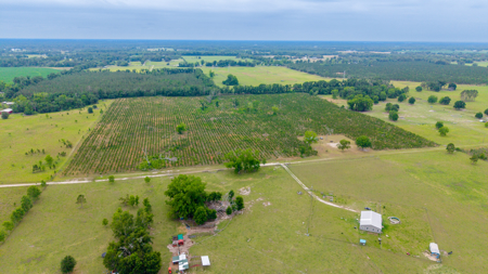 40-Acre North Florida Homestead & Timber Investment For Sale - image 17