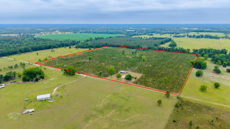 40-Acre North Florida Homestead & Timber Investment For Sale - image 21