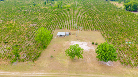 40-Acre North Florida Homestead & Timber Investment For Sale - image 1