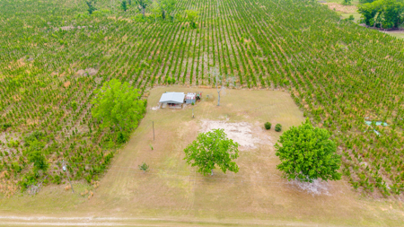 40-Acre North Florida Homestead & Timber Investment For Sale - image 2