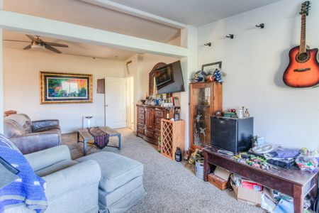 Country Living on 11.45 Irrigated Acres - image 11