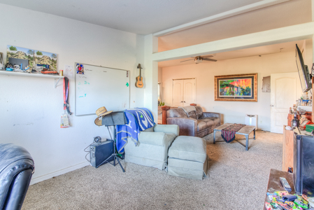 Country Living on 11.45 Irrigated Acres - image 12