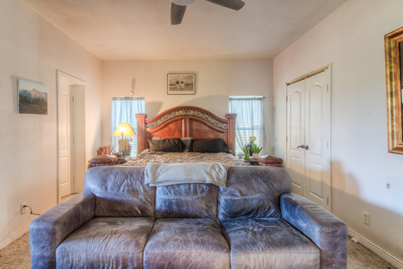 Country Living on 11.45 Irrigated Acres - image 7
