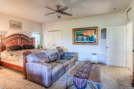 Country Living on 11.45 Irrigated Acres - image 15