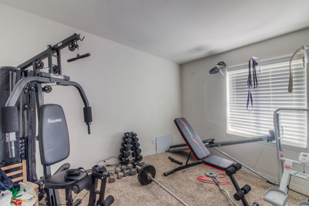 Country Living on 11.45 Irrigated Acres - image 36