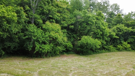 Land for Sale in Maury County, Tennessee - image 6