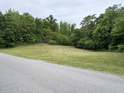 Land for Sale in Maury County, Tennessee - image 14
