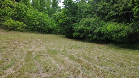 Land for Sale in Maury County, Tennessee - image 2