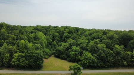 Land for Sale in Maury County, Tennessee - image 12