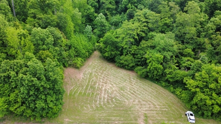 Land for Sale in Maury County, Tennessee - image 1