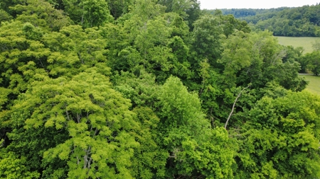 Land for Sale in Maury County, Tennessee - image 7
