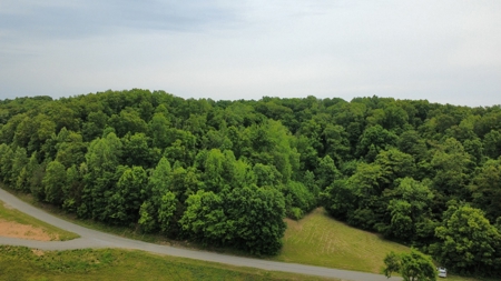 Land for Sale in Maury County, Tennessee - image 10