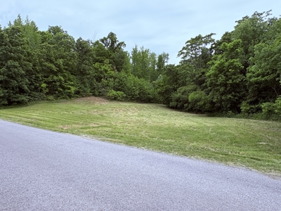 Land for Sale in Maury County, Tennessee - image 15