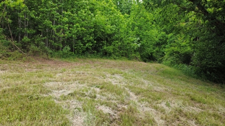 Land for Sale in Maury County, Tennessee - image 3
