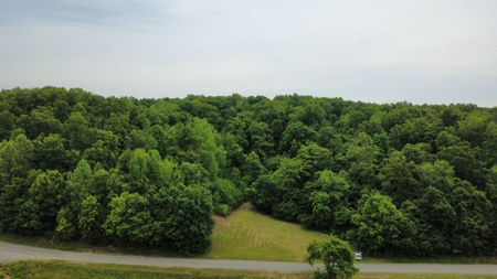 Land for Sale in Maury County, Tennessee - image 11