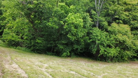 Land for Sale in Maury County, Tennessee - image 5
