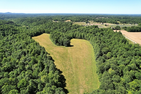 71.6+/- Acres - Pasture - Woodland - Hunting - Liberty, Ky. - image 1