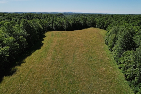 71.6+/- Acres - Pasture - Woodland - Hunting - Liberty, Ky. - image 11