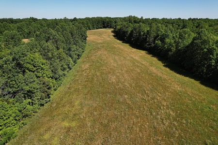 71.6+/- Acres - Pasture - Woodland - Hunting - Liberty, Ky. - image 12