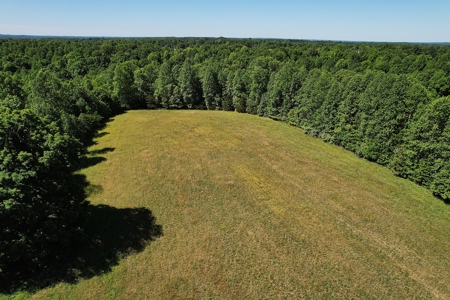 71.6+/- Acres - Pasture - Woodland - Hunting - Liberty, Ky. - image 9