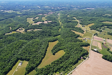71.6+/- Acres - Pasture - Woodland - Hunting - Liberty, Ky. - image 7