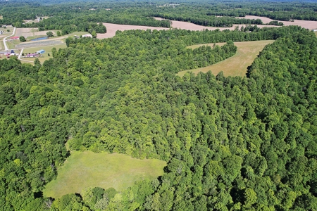 71.6+/- Acres - Pasture - Woodland - Hunting - Liberty, Ky. - image 4