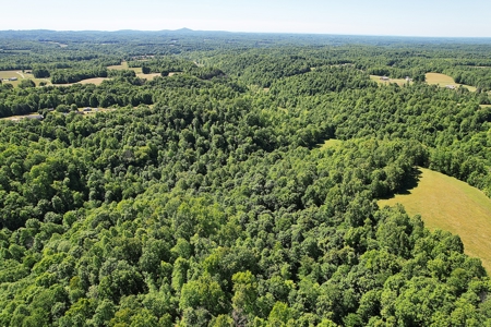 71.6+/- Acres - Pasture - Woodland - Hunting - Liberty, Ky. - image 3