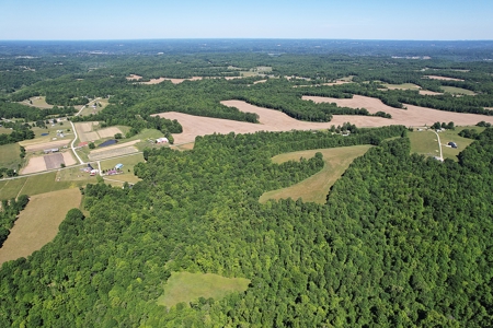 71.6+/- Acres - Pasture - Woodland - Hunting - Liberty, Ky. - image 5