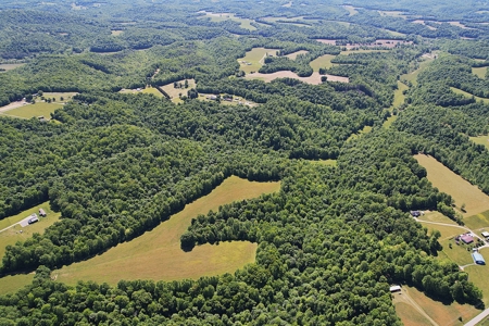 71.6+/- Acres - Pasture - Woodland - Hunting - Liberty, Ky. - image 6