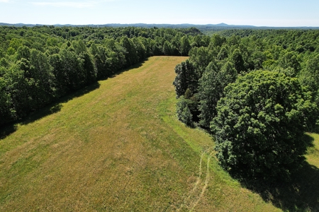 71.6+/- Acres - Pasture - Woodland - Hunting - Liberty, Ky. - image 8