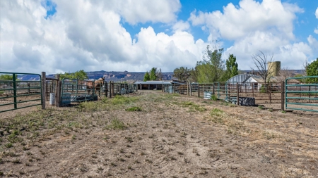 Fruita, CO Country Home & Horse Property on 4± Irrigated Acres - image 36