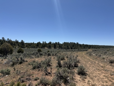 Incredible 2 Section Ranch w/ 2 Bunk houses, power, Wells, 8 Elk - image 20