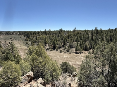 Incredible 2 Section Ranch w/ 2 Bunk houses, power, Wells, 8 Elk - image 28