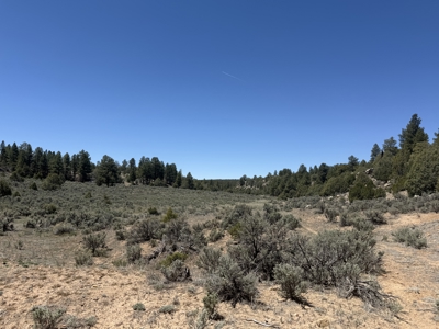 Incredible 2 Section Ranch w/ 2 Bunk houses, power, Wells, 8 Elk - image 42