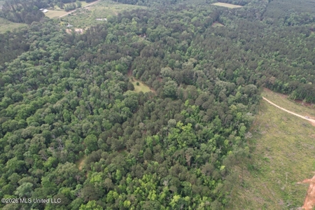 15 Acres with Pond & Homesite in Liberty, MS - image 5