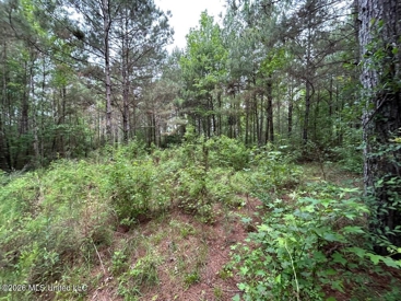 Listing 218