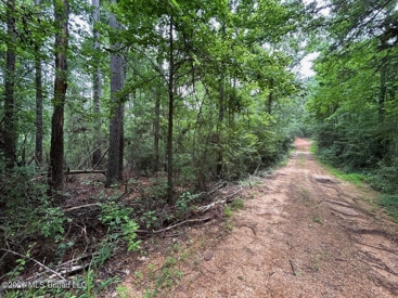 Listing 218