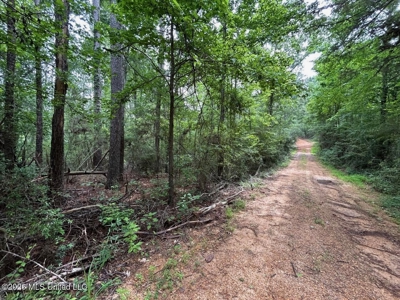 15 Acres with Pond & Homesite in Liberty, MS - image 15
