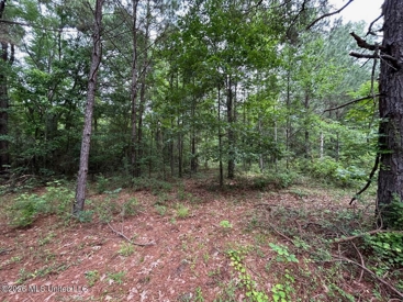 Listing 218