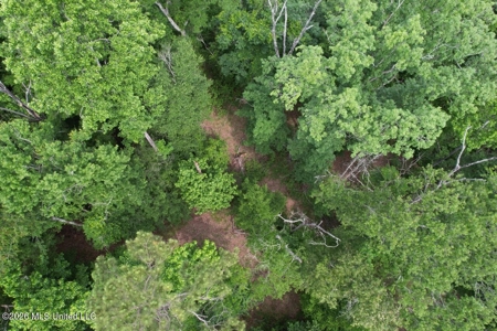 15 Acres with Pond & Homesite in Liberty, MS - image 11