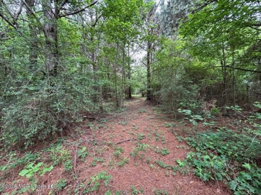 Listing 218
