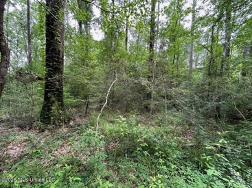 Listing 218