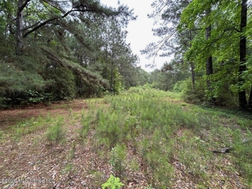 Listing 218