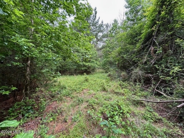 Listing 218