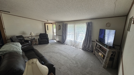 Home on Large Lot in Eagleville, MO - image 7
