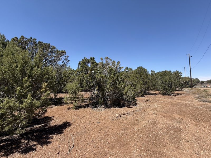 No Caption