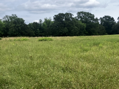 Hobby Farm with Beautiful Homesite - image 8