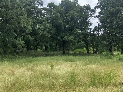 Hobby Farm with Beautiful Homesite - image 5