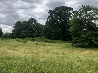 Hobby Farm with Beautiful Homesite - image 14