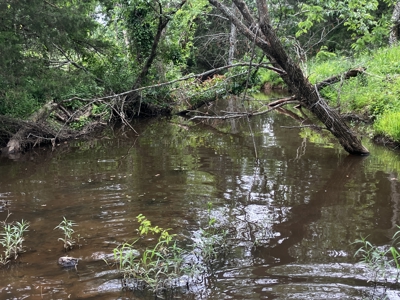 Hobby Farm with Beautiful Homesite - image 11